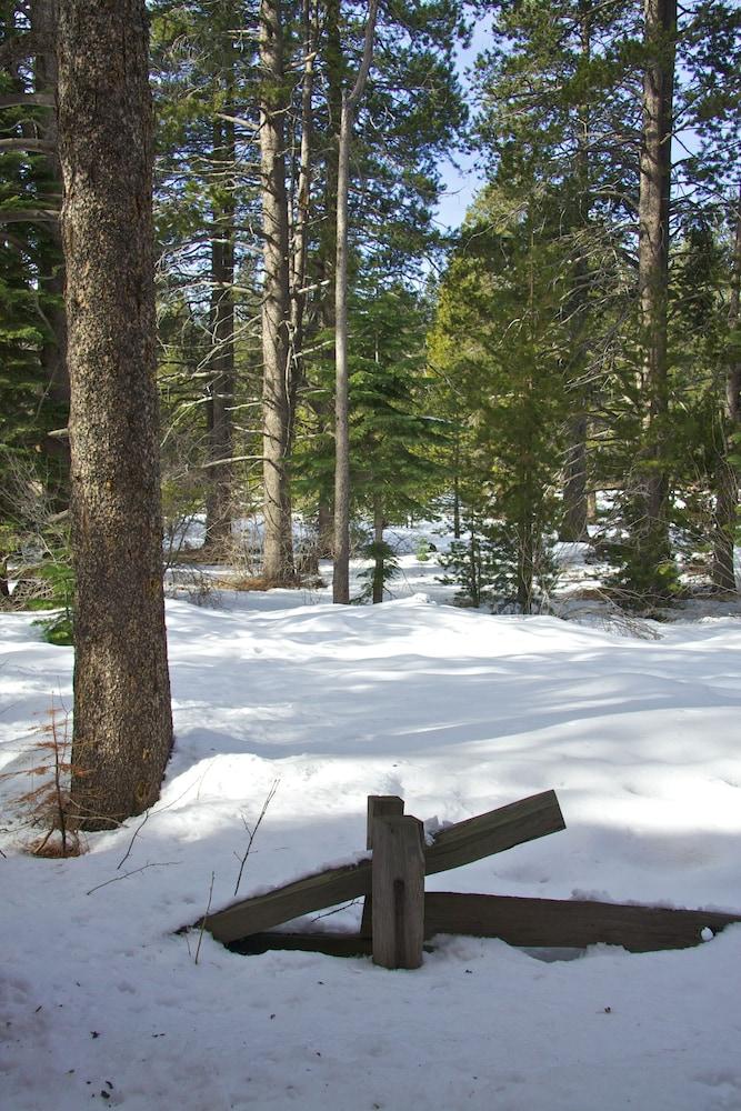 Truckee Donner Lodge מראה חיצוני תמונה
